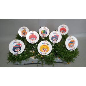 Soleirolia soleirolii   ...green