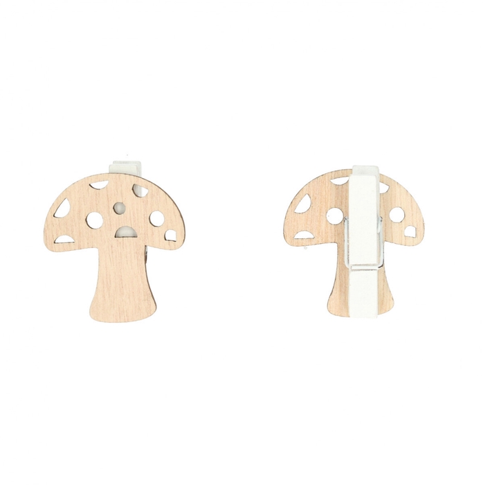 <h4>Autumn Deco pegs mushroom 3.5cm x36</h4>