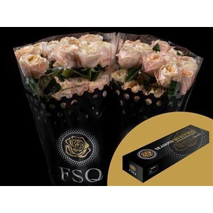 R Gr Melon Xpression Box