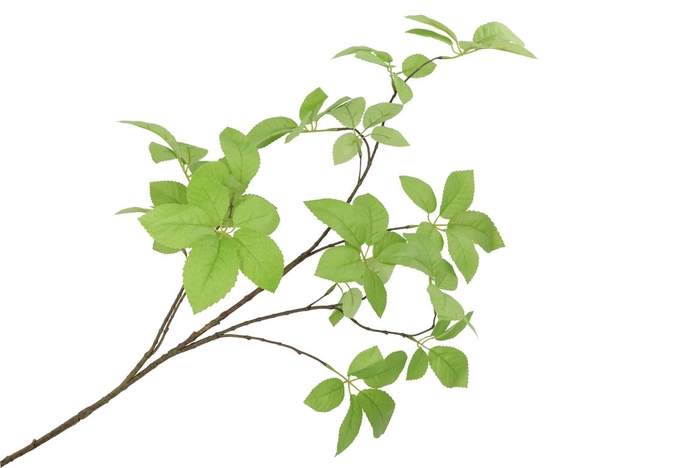 Silk Leaf Elder Green 124cm