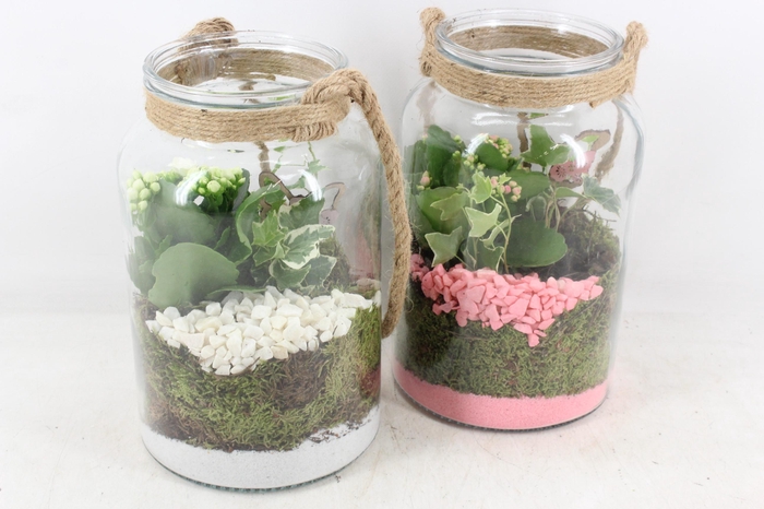 <h4>arr2 PL - Glas met touw hoog 285/6</h4>