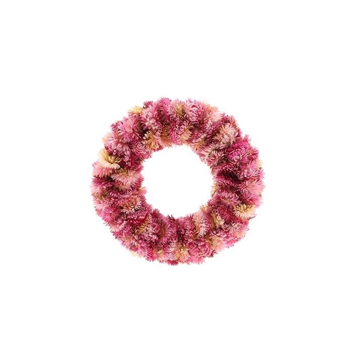 <h4>Wreath Helichrysum D30</h4>