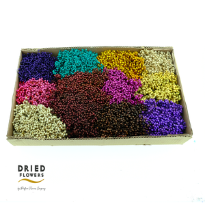 Dried Pepper Berries Autumn Mix