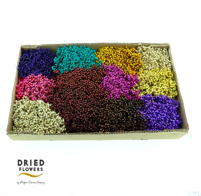 <h4>Dried Pepper Berries Autumn Mix</h4>