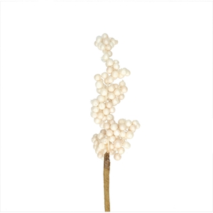 Christmas sticks 50cm Berry 6*12cm