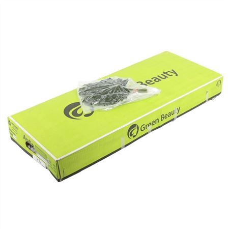 <h4>Fatsia japonica per bos</h4>