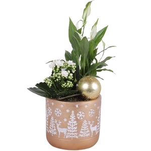 Christmas Arr. Indoor Ceramic Pot Round Landscape Ø14cm 2PP