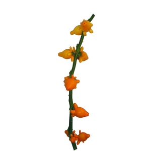 Solanum Yellow Stem Medium
