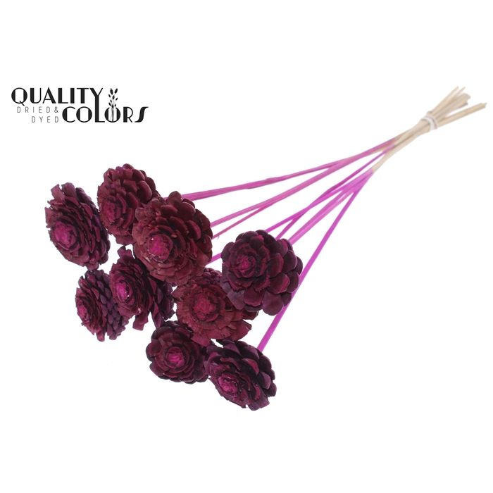 <h4>Pine cone cut 5-7cm on stem Lilac</h4>