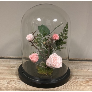 Stolp zwart 28h roze rozen glas