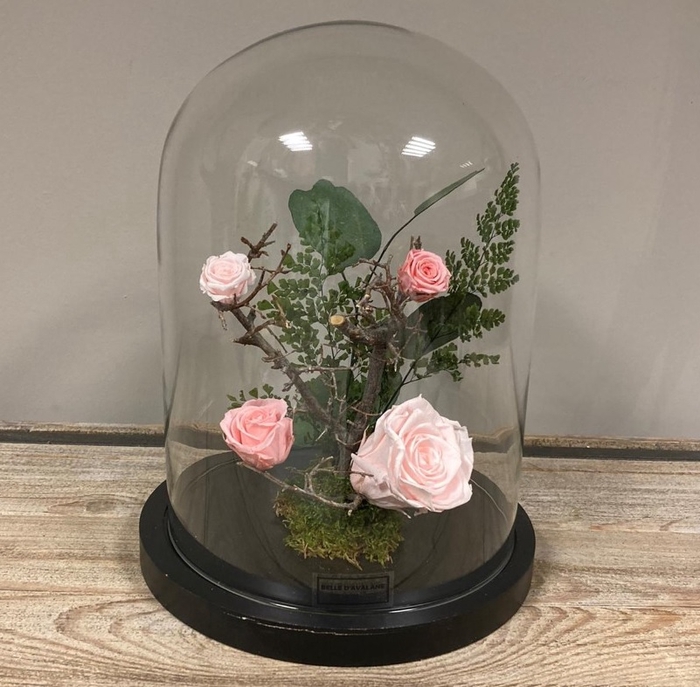 Stolp zwart 28h roze rozen glas