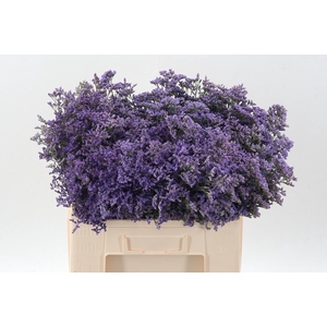 Lim Saf Classic Blue