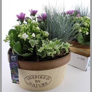 ARR TUINPLANTEN