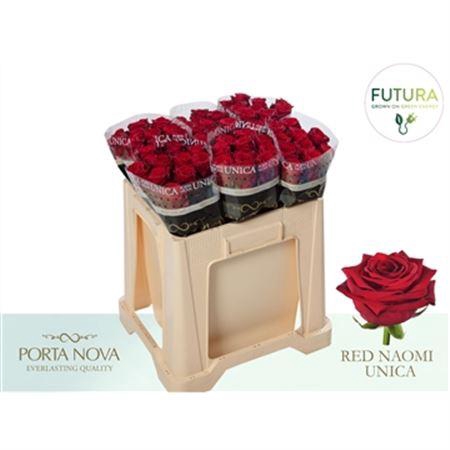 <h4>R Gr Red Naomi!</h4>