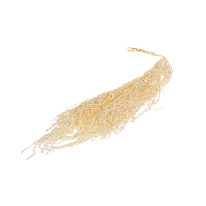 <h4>Bunch Amaranthus Caud. Pres.5pcs L90</h4>