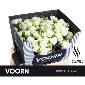 R Tr Bridal Flow Voorn