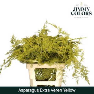 Aspa extra veren Yellow