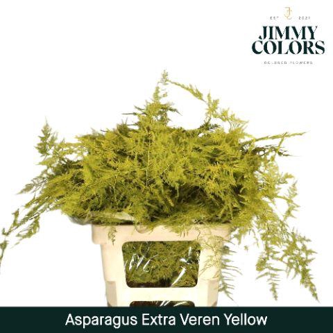 <h4>Aspa extra veren Yellow</h4>