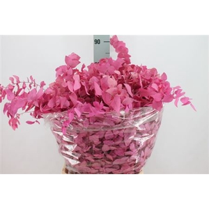 Euca Stuart Stabil Pink