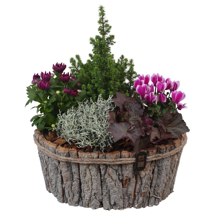 <h4>Arr.   Tuinplanten H%</h4>