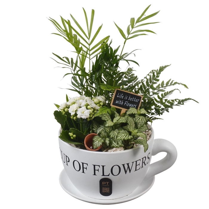 <h4>Arr.    Planten  H%</h4>