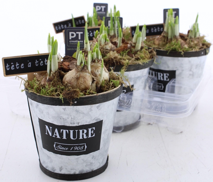 <h4>ARR N TETE A TETE</h4>