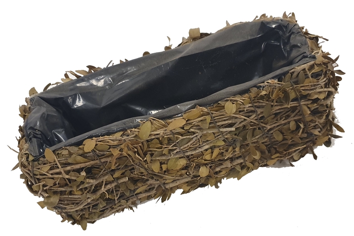 Planter Rectangular Pinar L35 cm B15cm