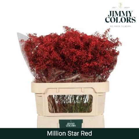 <h4>Gyps Million Star L80 Red</h4>