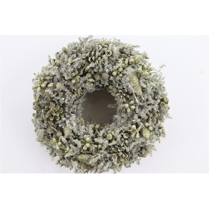 Wr Mixed Fruit Wax Green Olive 35cm