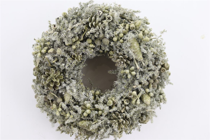 <h4>Wr Mixed Fruit Wax Green Olive 35cm</h4>