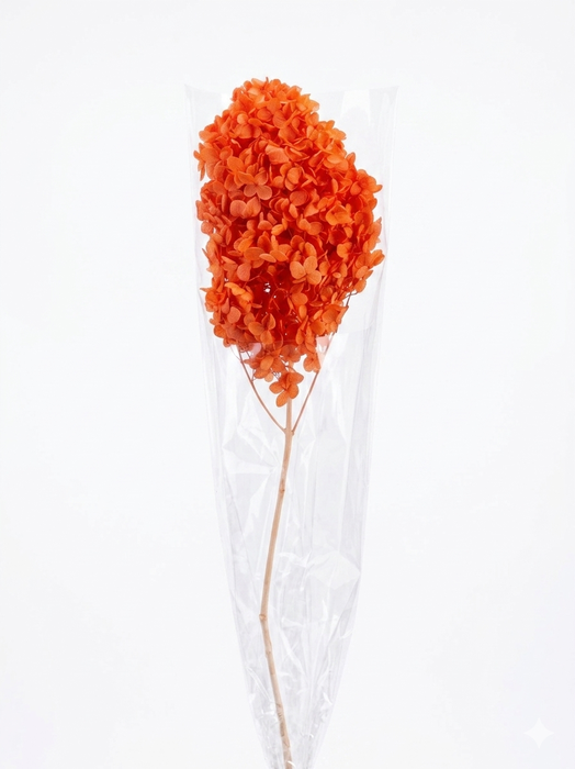 <h4>Dried Bleached Hydrangea Tower Red XXL</h4>