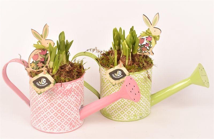 <h4>Zink gieter groen/roze 12cm</h4>