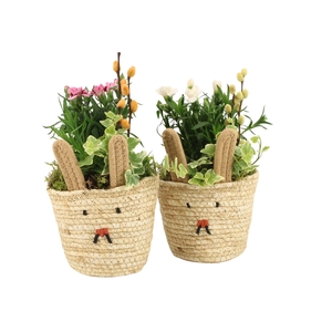 70896: Easter outdoor arrangement