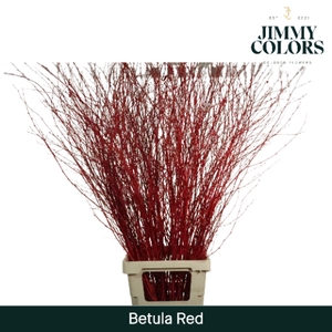 Betula L120 Red