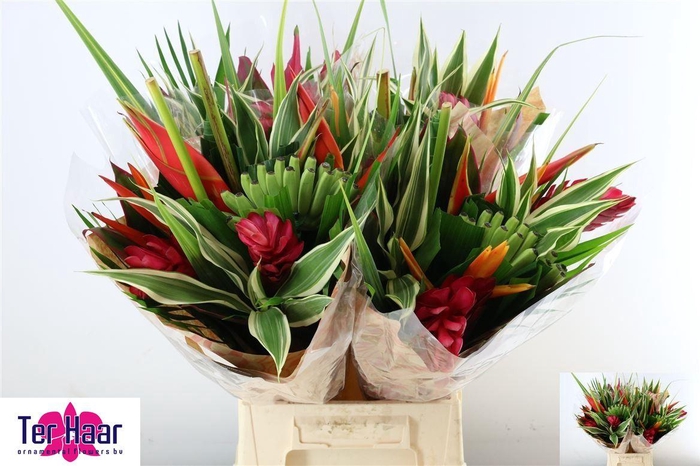 <h4>HELICONIA BOEKET</h4>