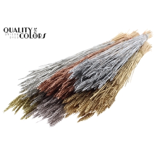 Triticum (sunbleached) per bunch Mixed colours Metallic