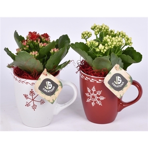 Kerst mok decor 9 cm