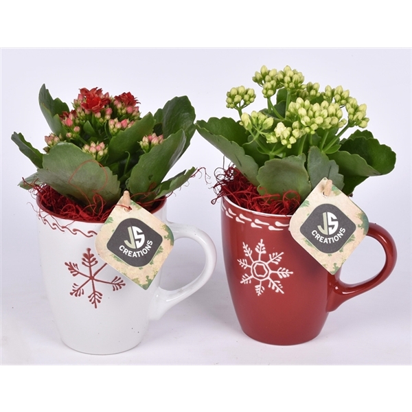 <h4>Kerst mok decor 9 cm</h4>