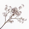 Sedum Spray Dark Purple LV330126DPR