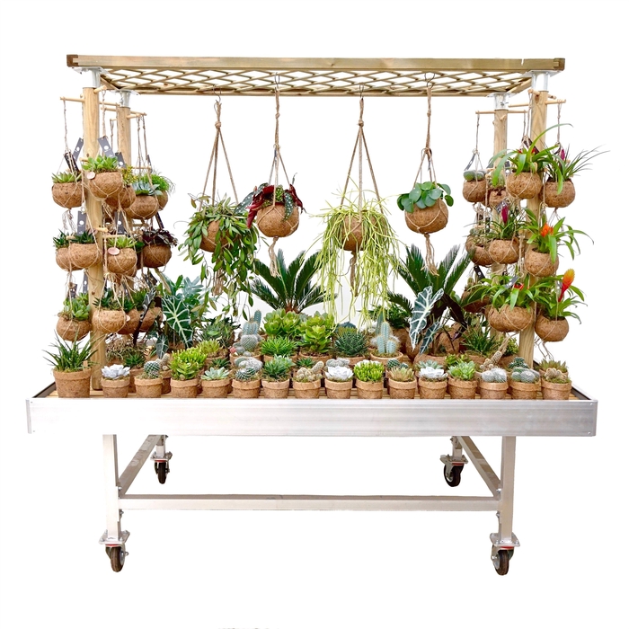 <h4>Kokodama Presentation Rack (exclusive plants and table)</h4>