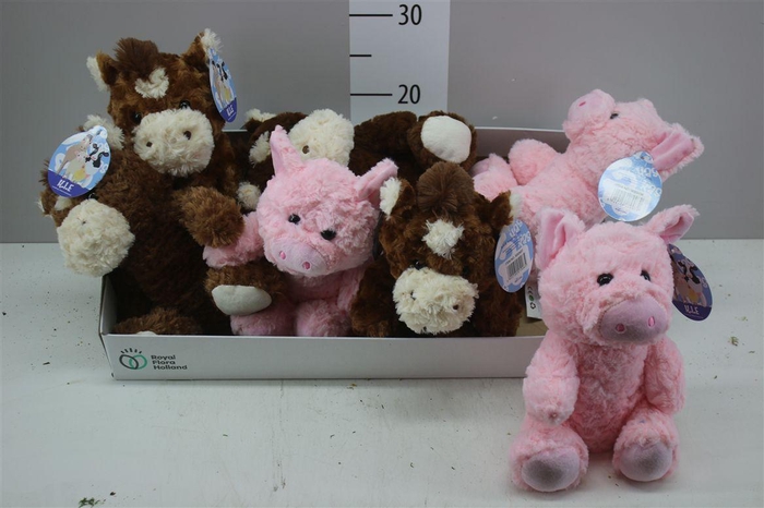 <h4>Pluche Beer 24cm Mix</h4>