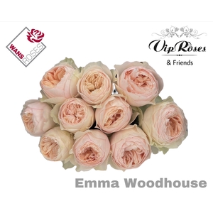 R GR EMMA WOODHOUSE