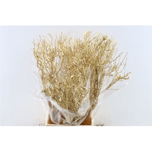 Bundel Tea Branch Ant. Gold 65cm