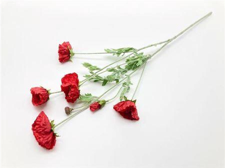 <h4>Stem Poppy Flower</h4>