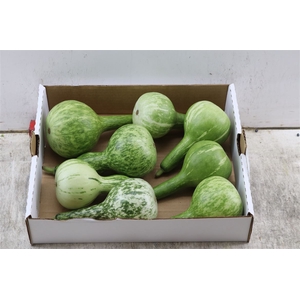 Sier Cuc P Kalabas Fles Groen X10