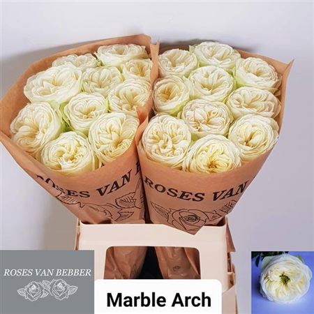 <h4>R Gr Bu Marble Arch</h4>