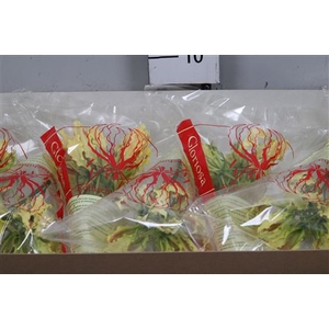 Gloriosa Lutea Short