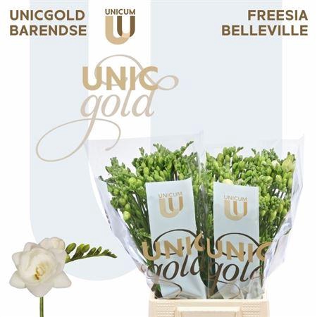 <h4>Fr Du Belleville</h4>