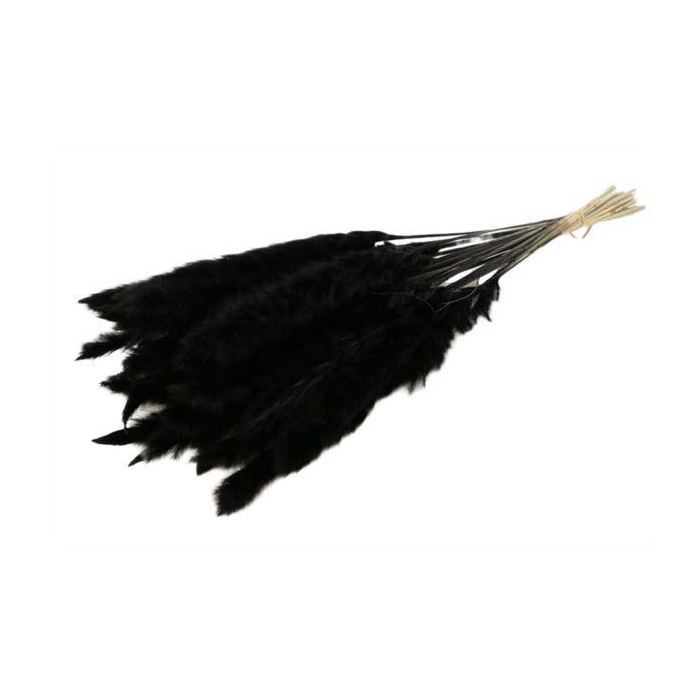 <h4>Bunch Fluffy Pampas Slv 35g L70</h4>