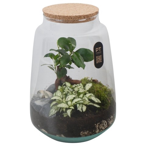 <h4>Opm Pt PTTER8136 Terrarium Glas</h4>